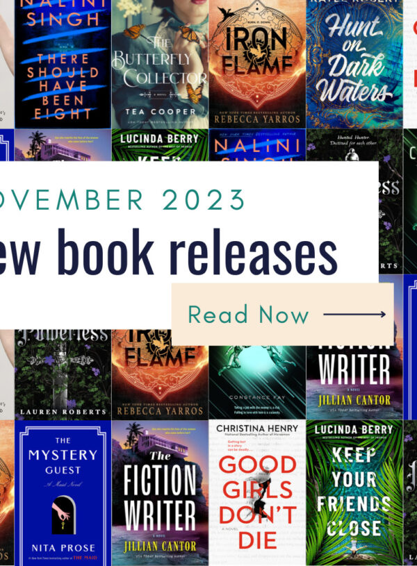 November 2023 New Book Releases